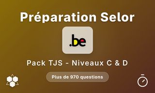 Test de jugement situationnel Travaillerpour.be - Niveaux C et D
