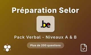 Raisonnement verbal Travaillerpour.be - Niveaux A et B