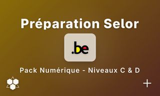 Test de raisonnement numérique Travaillerpour.be - Niveaux C et D