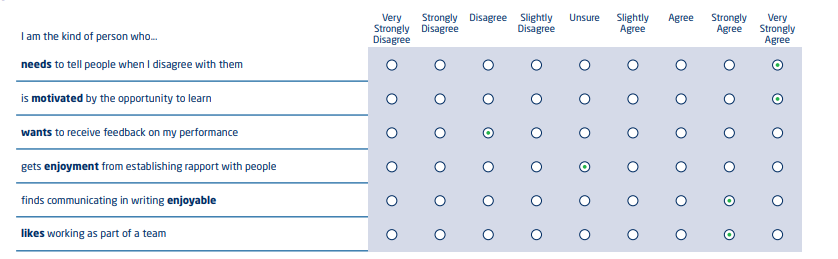 Saville Assessment Wave Focus Styles Questionnaire Exemple